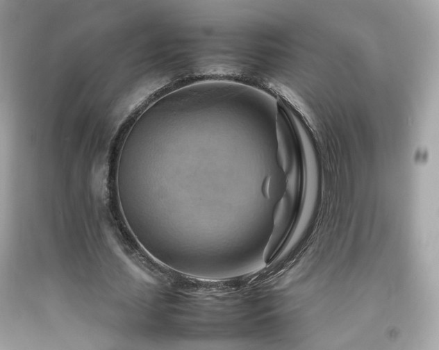 X0000092070627200709121416