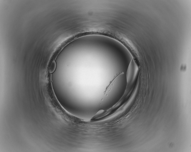 X0000092070628200709121416