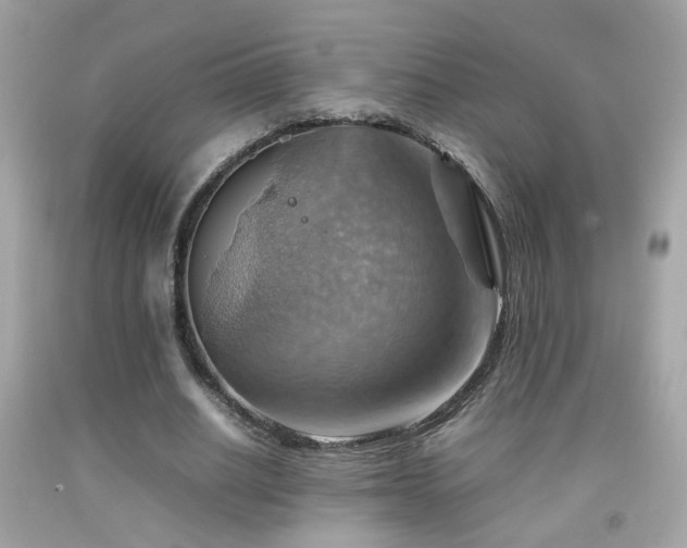 X0000092070630200709121416