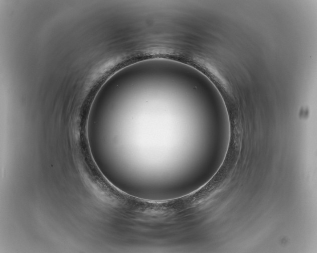 X0000092070631200709121416