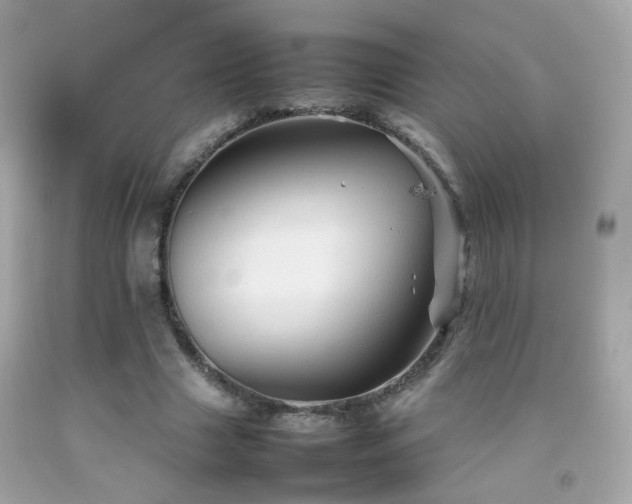 X0000092070633200709121416