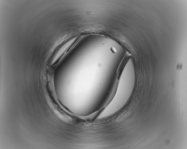 X0000092070634200709121416