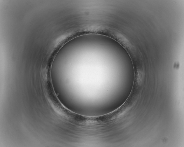 X0000092070636200709121417