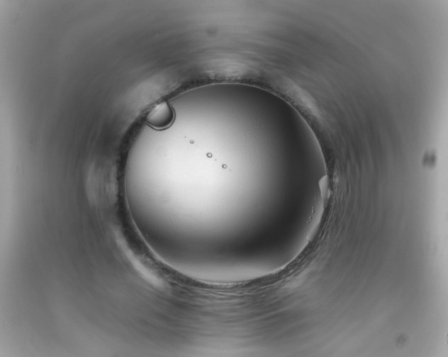X0000092070638200709121417