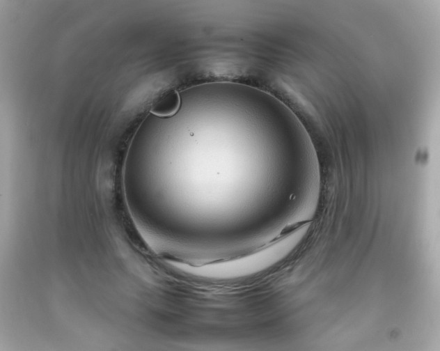 X0000092070639200709121417