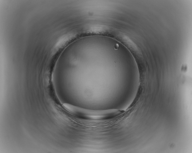 X0000092070640200709121417