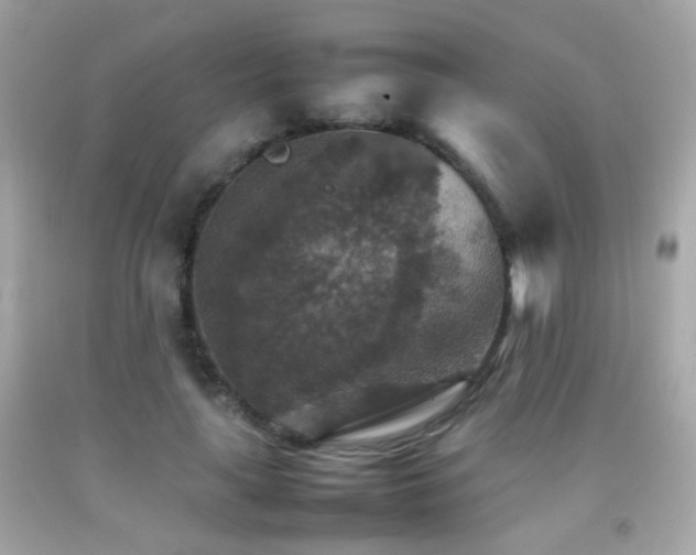 X0000092070643200709121417
