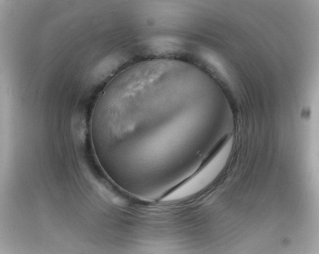 X0000092070644200709121417