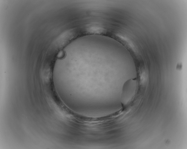 X0000092070647200709121417