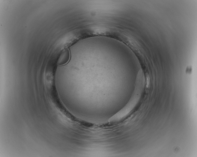 X0000092070648200709121417