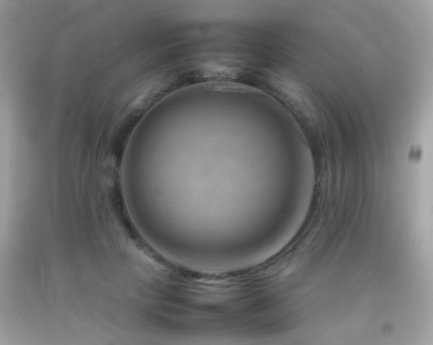 X0000092070649200709121417