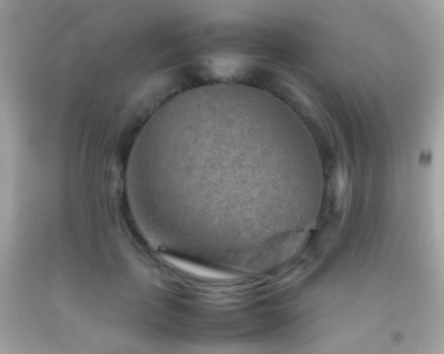 X0000092070651200709121417
