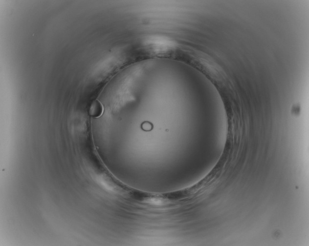 X0000092070654200709121417