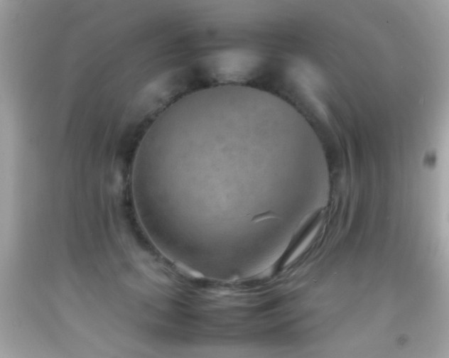 X0000092070655200709121417