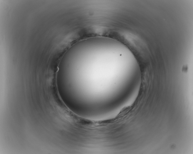 X0000092070656200709121417