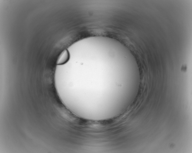 X0000092070658200709121417