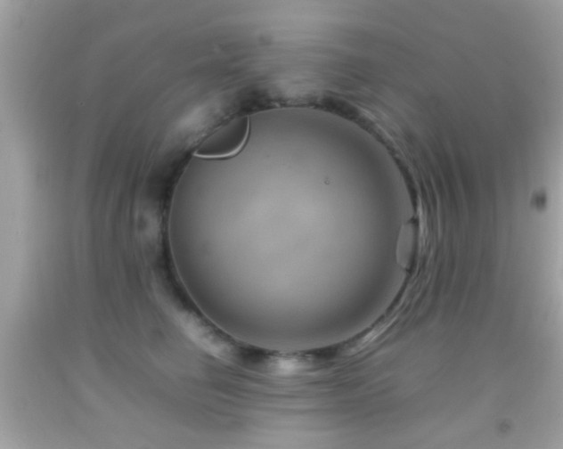 X0000092070662200709121417