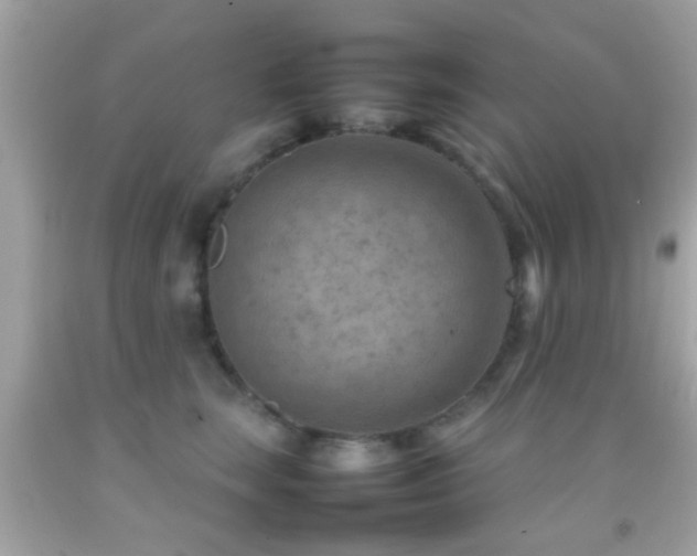 X0000092070663200709121417