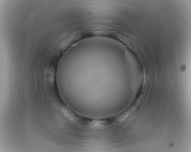 X0000092070664200709121417