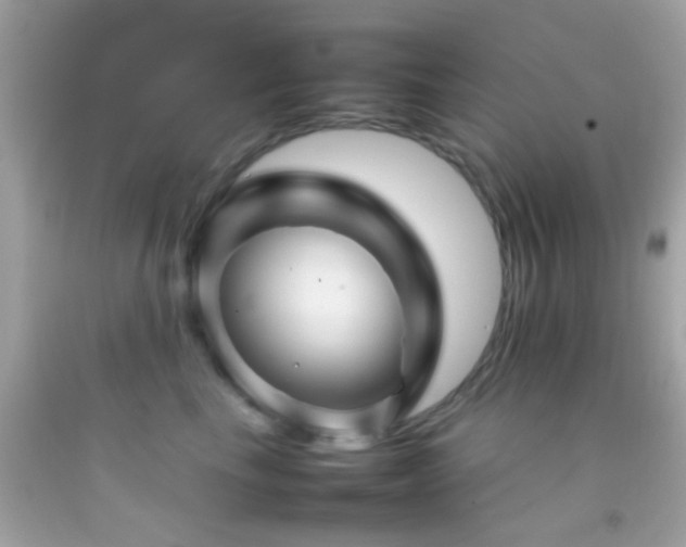 X0000092070665200709121417