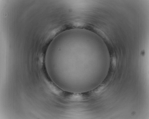 X0000092070668200709121417