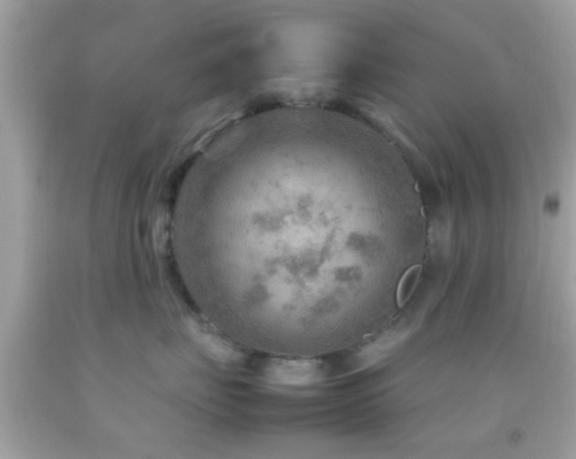 X0000092070671200709121417