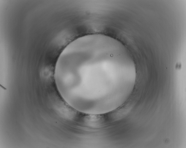 X0000092070672200709121417