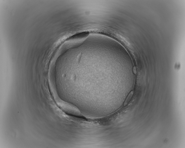 X0000092070673200709121416