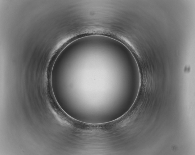 X0000092070674200709121416