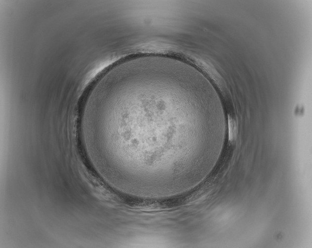 X0000092070675200709121416