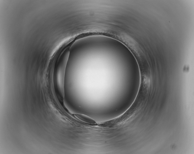 X0000092070676200709121416
