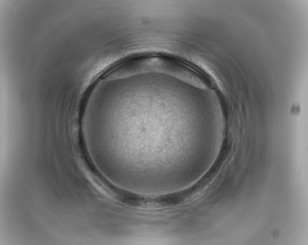 X0000092070677200709121416