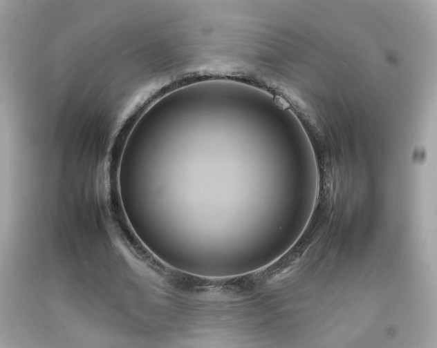 X0000092070678200709121416
