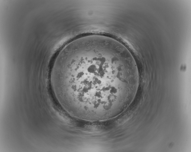 X0000092070679200709121416