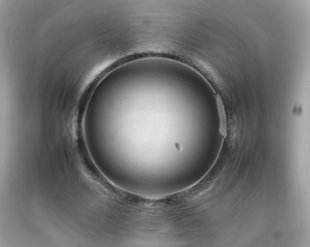X0000092070680200709121416