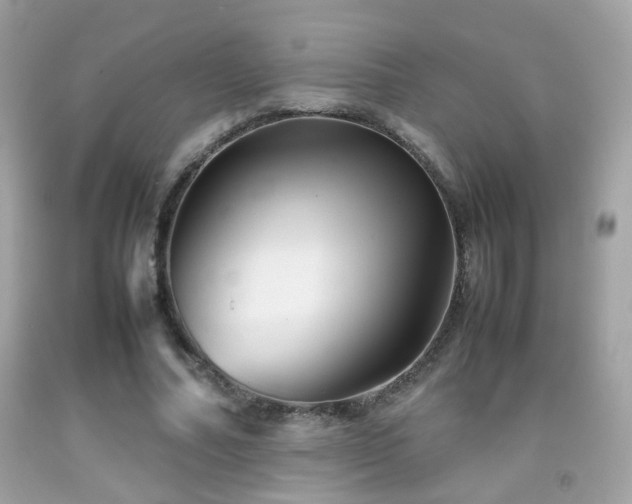 X0000092070682200709121416