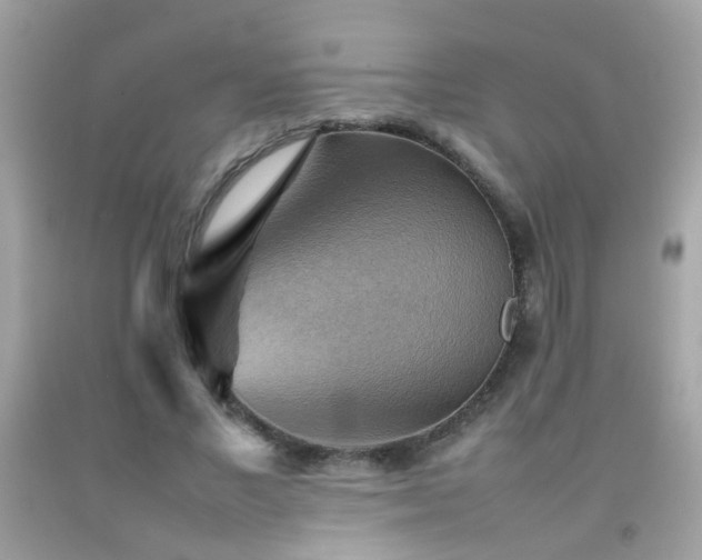 X0000092070685200709121416
