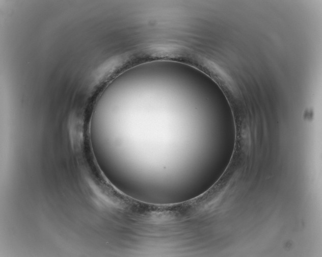 X0000092070686200709121416