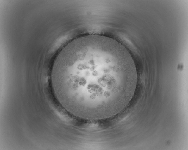 X0000092070687200709121416
