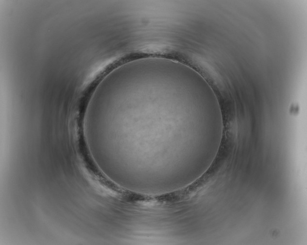 X0000092070688200709121416