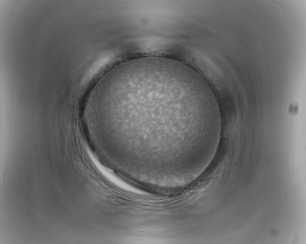 X0000092070689200709121416