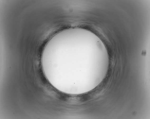 X0000092070691200709121416