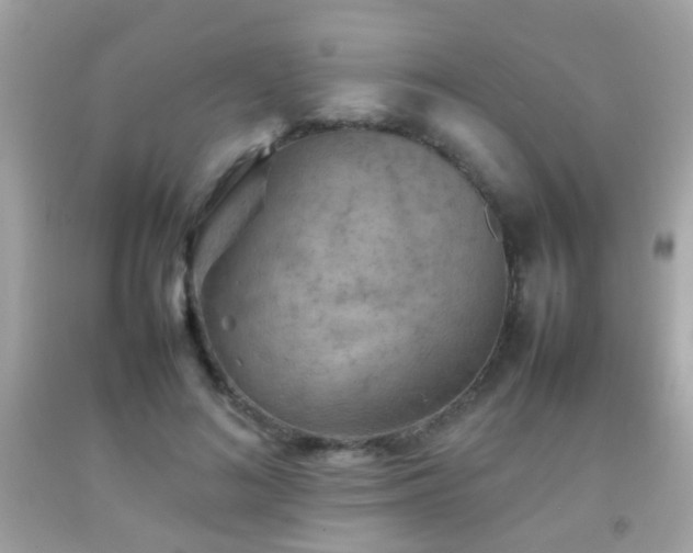 X0000092070692200709121416
