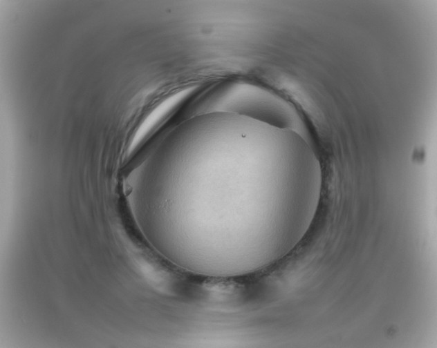 X0000092070693200709121416
