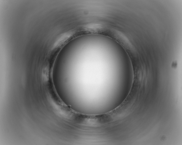 X0000092070694200709121416