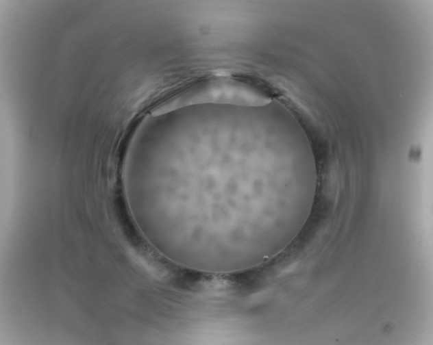 X0000092070695200709121416
