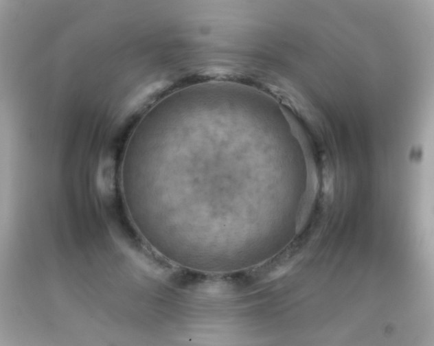 X0000092070696200709121416