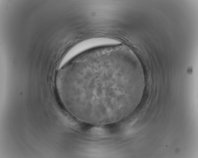 X0000092070699200709121416