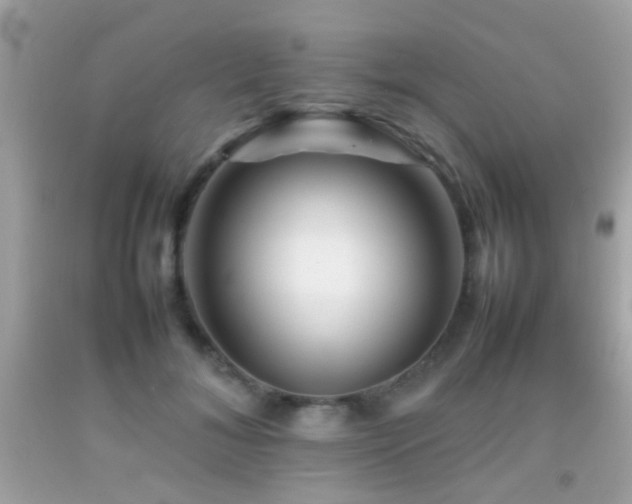 X0000092070700200709121416