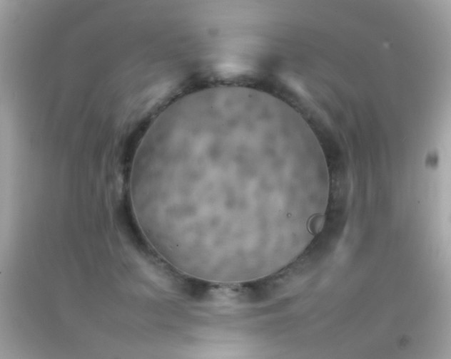 X0000092070703200709121416